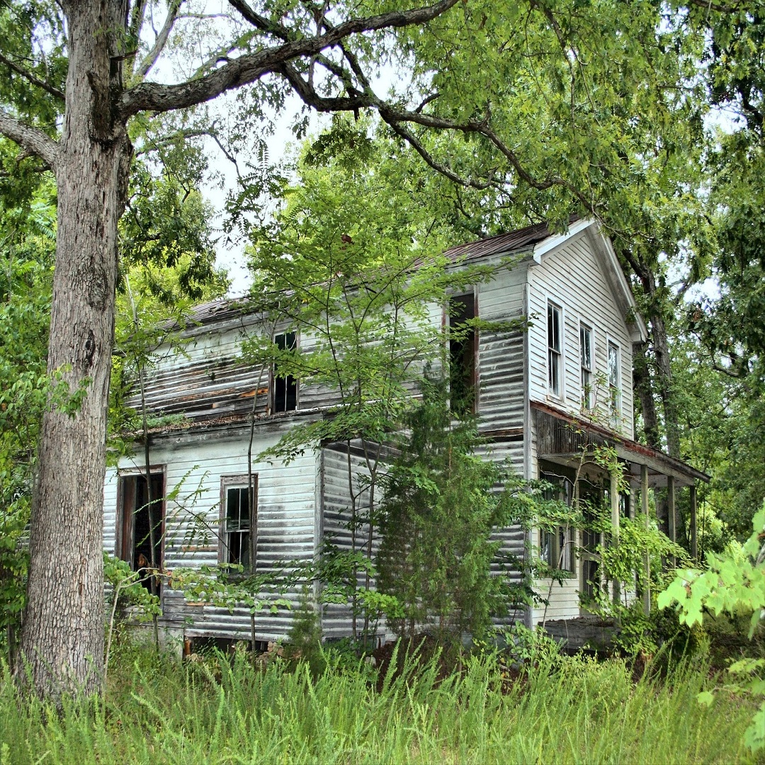 home-image